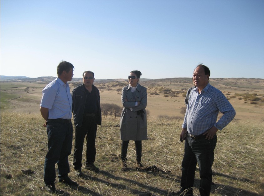 發(fā)揮資源優(yōu)勢，提高產(chǎn)業(yè)鏈競爭力——協(xié)會(huì)為企業(yè)間的合作搭建平臺(tái)