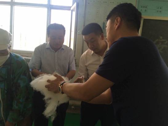 協(xié)會(huì)領(lǐng)導(dǎo)一行走訪企業(yè)開(kāi)展調(diào)研活動(dòng)