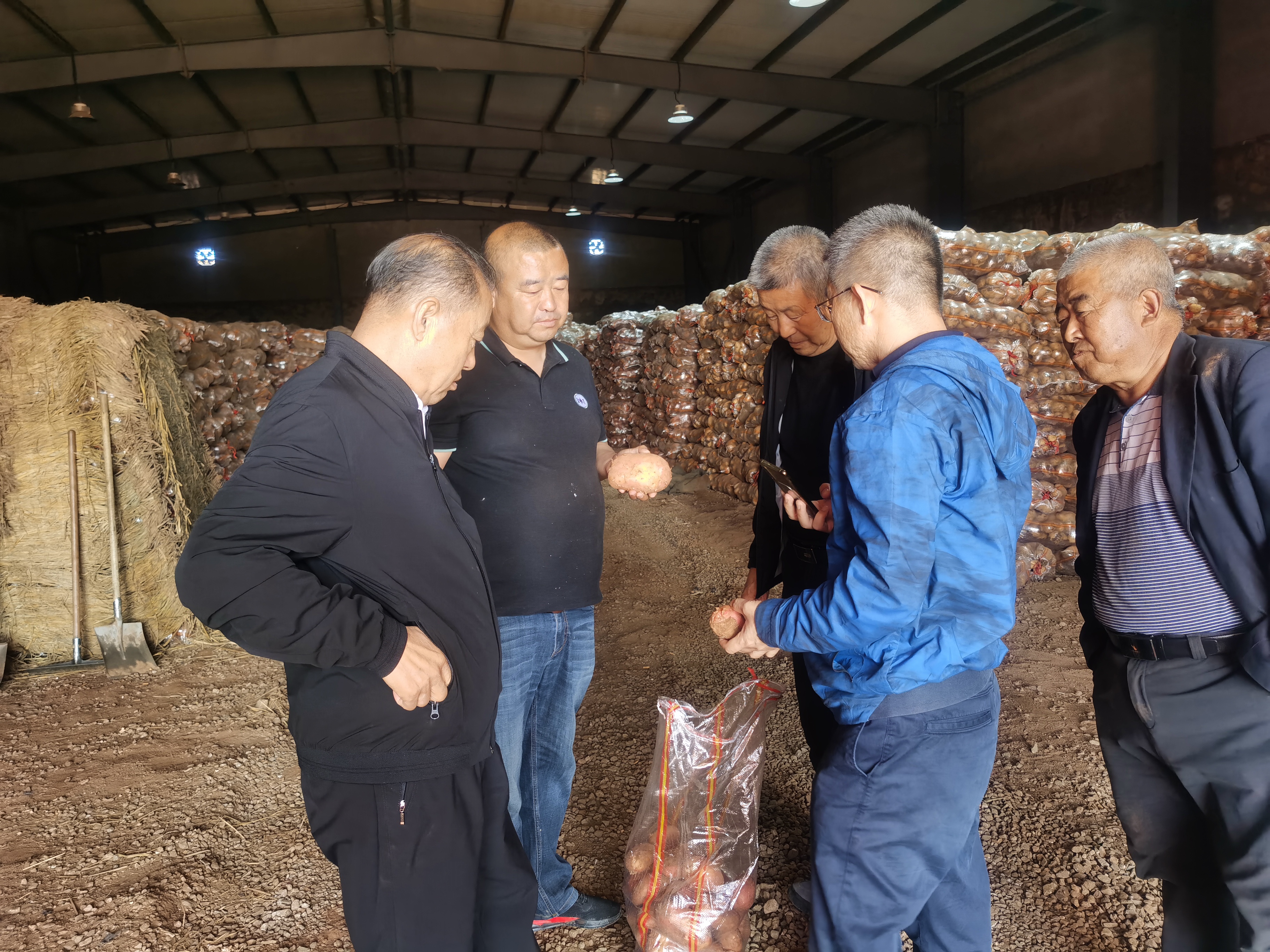 資源對接，互惠共贏 借助商協(xié)會平臺優(yōu)勢助力內(nèi)蒙古馬鈴薯 企業(yè)開拓山東市場