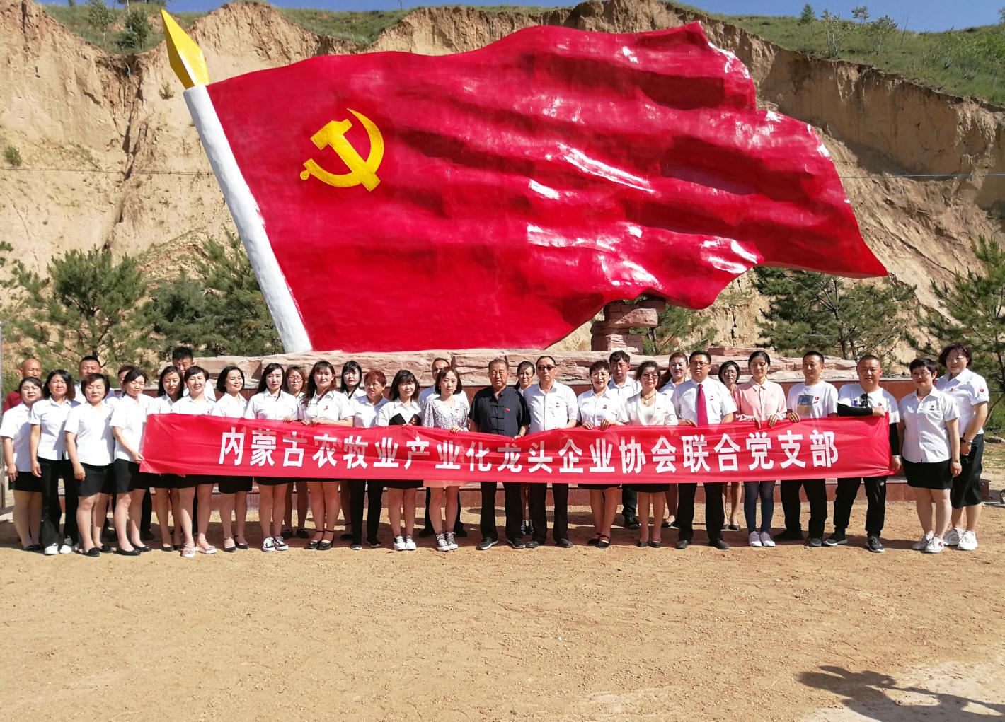 內(nèi)蒙古農(nóng)牧業(yè)產(chǎn)業(yè)化龍頭企業(yè)協(xié)會走進石人灣村開展“辦實事、解難題，送溫暖，傳黨恩”公益活動